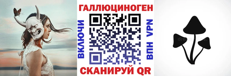 Псилоцибиновые грибы прущие грибы  Берёзовка 